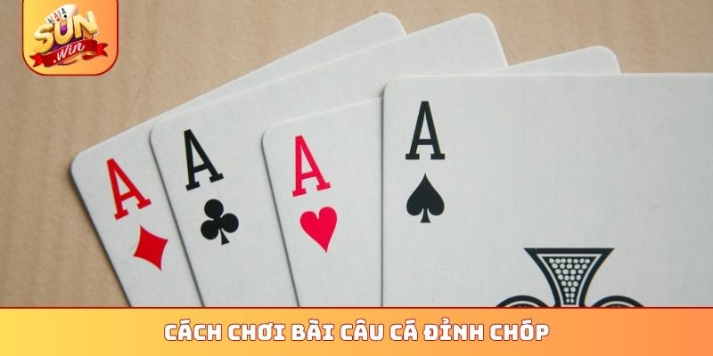 Cách chơi bài câu cá đỉnh chóp