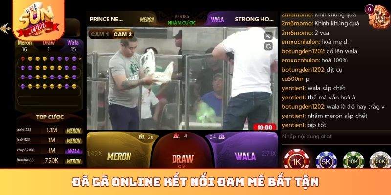 Đá gà online kết nối đam mê bất tận