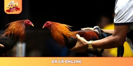 Đá gà online