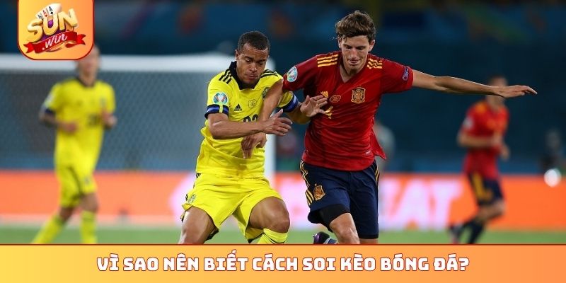 Tổng Hợp 4 Cách Soi Kèo Bóng Đá World Cup 2026 Cực Chuẩn 1 Vì sao nên biết cách soi kèo bóng đá?